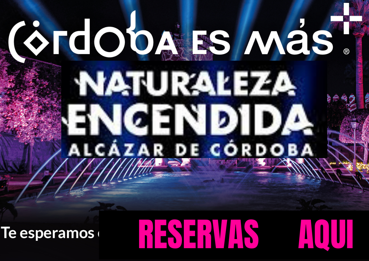 Raíces: Naturaleza Encendida